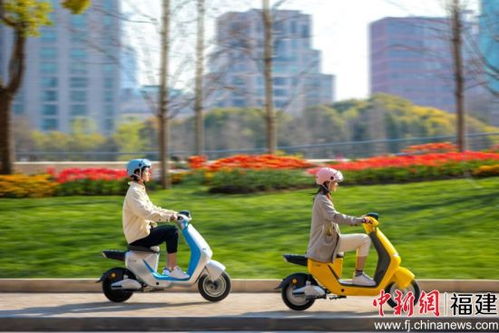哈啰電動車加速渠道擴張 門店總量突破2000家，電動自行車銷售迎增長